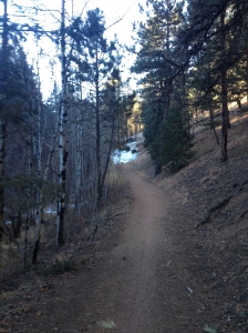 Buck Gulch Trail